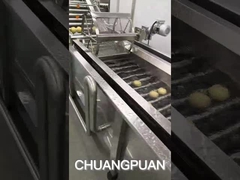 كيف يتم إنتاج ماء جوز الهند؟ دعونا نرى كيف يعمل مصنع جوز الهند